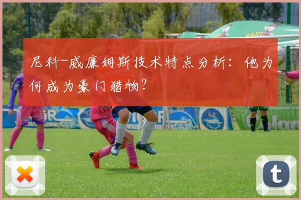尼科-威廉姆斯技术特点分析：他为何成为豪门猎物？